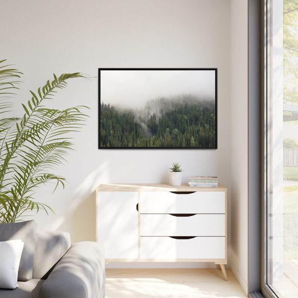 88289-678.jpg Forest in Fog Framed Canvas