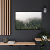 88289-679.jpg Forest in Fog Framed Canvas