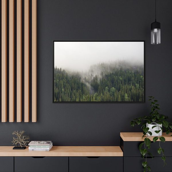 88289-679.jpg Forest in Fog Framed Canvas