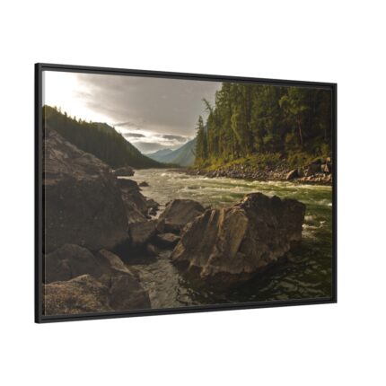 Creek River in the Forest Framed Canvas