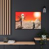 88289-729.jpg Penguin in Desert Framed Canvas