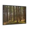 88289-745.jpg Leominster State Forest Framed Canvas