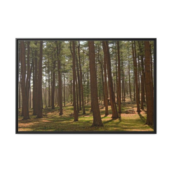 88289-746.jpg Leominster State Forest Framed Canvas
