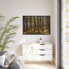 88289-748.jpg Leominster State Forest Framed Canvas