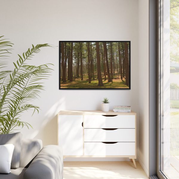 88289-748.jpg Leominster State Forest Framed Canvas