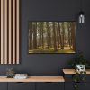 88289-749.jpg Leominster State Forest Framed Canvas