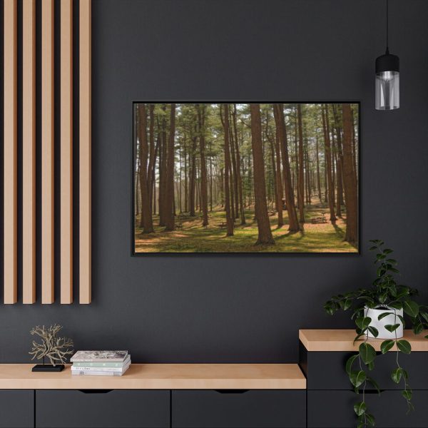 88289-749.jpg Leominster State Forest Framed Canvas