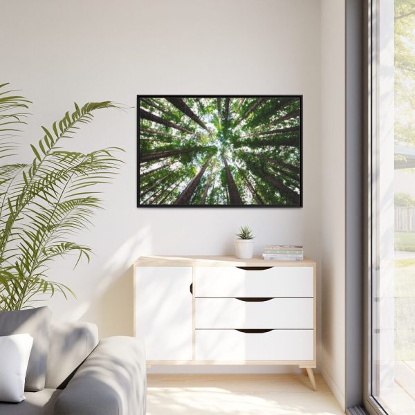 88289-758.jpg Tall Trees in the Forest Framed Canvas