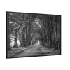 A Path Through the Forest Framed Canvas