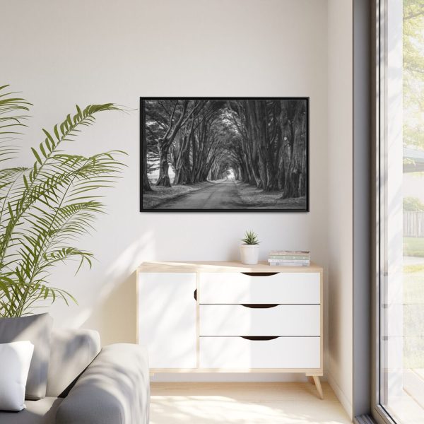 A Path Through the Forest Framed Canvas
