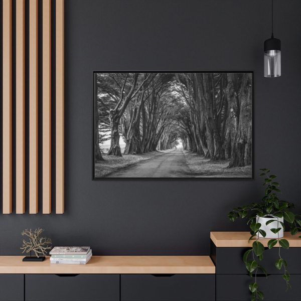 A Path Through the Forest Framed Canvas