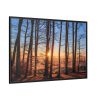 88289-765.jpg Forest Landscape with Sun and Trees Framed Canvas