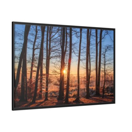 Forest Landscape with Sun and Trees Framed Canvas