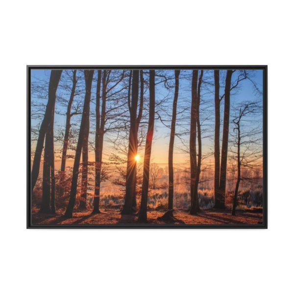 88289-766.jpg Forest Landscape with Sun and Trees Framed Canvas