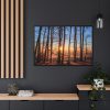 88289-769.jpg Forest Landscape with Sun and Trees Framed Canvas