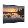 88289-770.jpg Water Reflection in the Forest Framed Canvas