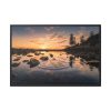88289-771.jpg Water Reflection in the Forest Framed Canvas