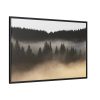 Trees and Forest in the Fog Framed Canvas