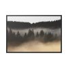 Trees and Forest in the Fog Framed Canvas