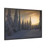 88289-790.jpg Dawn and Winter in the Forest Framed Canvas