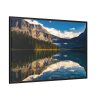 Beautiful Forest in Canada Framed Canvas