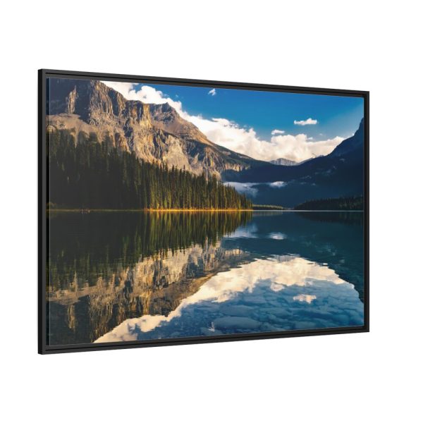 Beautiful Forest in Canada Framed Canvas