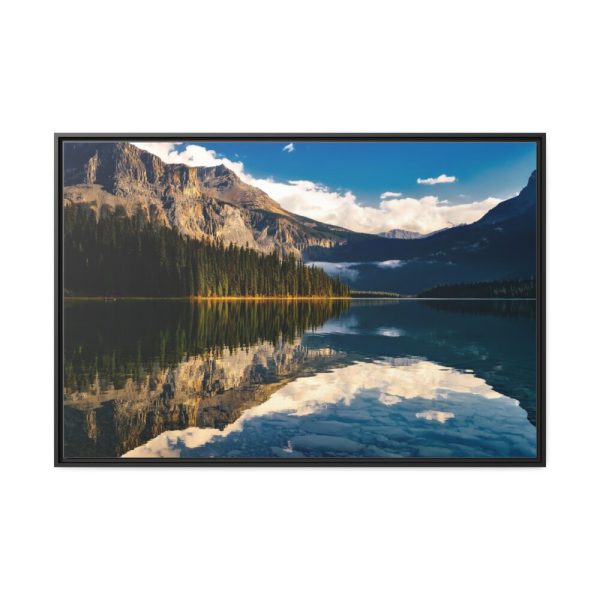 Beautiful Forest in Canada Framed Canvas