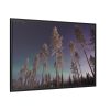Lapland Finland Framed Canvas