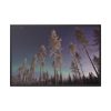 Lapland Finland Framed Canvas
