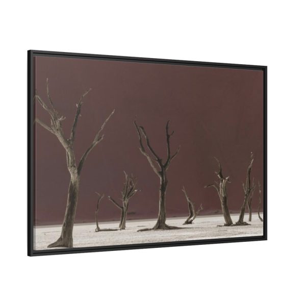 88289-825.jpg Deadvlei Sunrise Framed Canvas