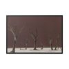 88289-826.jpg Deadvlei Sunrise Framed Canvas