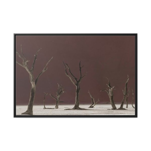 88289-826.jpg Deadvlei Sunrise Framed Canvas