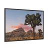 88289-830.jpg Sunset near Turtle Rock Framed Canvas