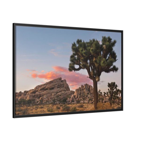 88289-830.jpg Sunset near Turtle Rock Framed Canvas