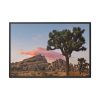 88289-831.jpg Sunset near Turtle Rock Framed Canvas