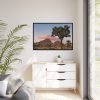 88289-833.jpg Sunset near Turtle Rock Framed Canvas