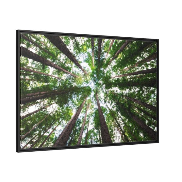 88289-850.jpg Forest in Warburton, Australia Framed Canvas