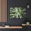 88289-854.jpg Forest in Warburton, Australia Framed Canvas