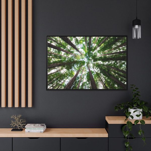 88289-854.jpg Forest in Warburton, Australia Framed Canvas