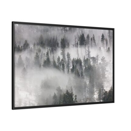 Trees in Lamar Valley Framed Canvas