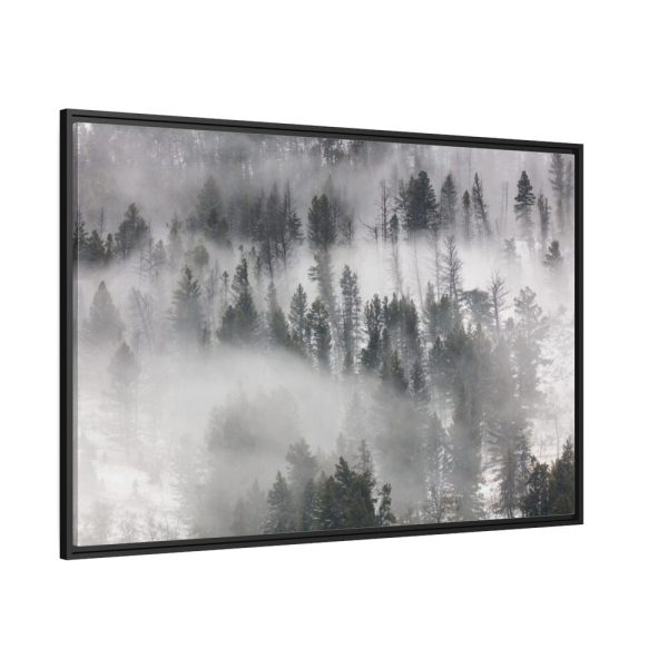 88289-855.jpg Trees in Lamar Valley Framed Canvas