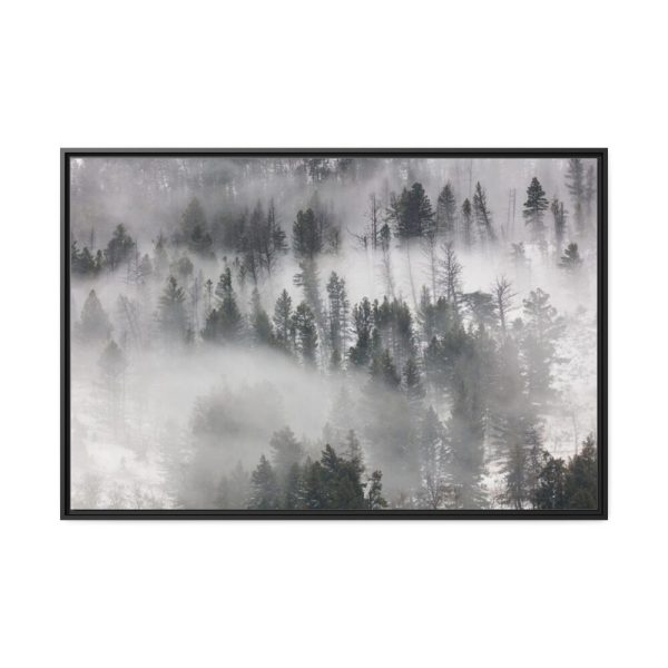 88289-856.jpg Trees in Lamar Valley Framed Canvas