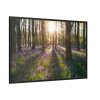 Spring day Framed Canvas