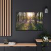 Spring day Framed Canvas