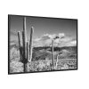 88289-875.jpg Black and White Cactus in Desert Framed Canvas