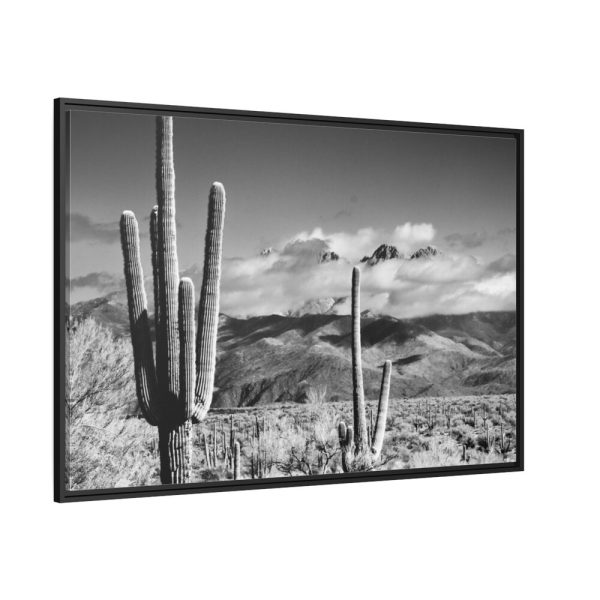 88289-875.jpg Black and White Cactus in Desert Framed Canvas