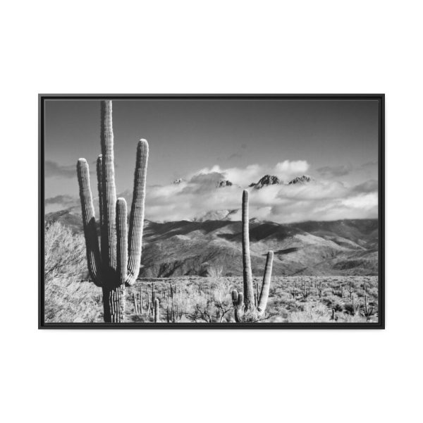 88289-876.jpg Black and White Cactus in Desert Framed Canvas