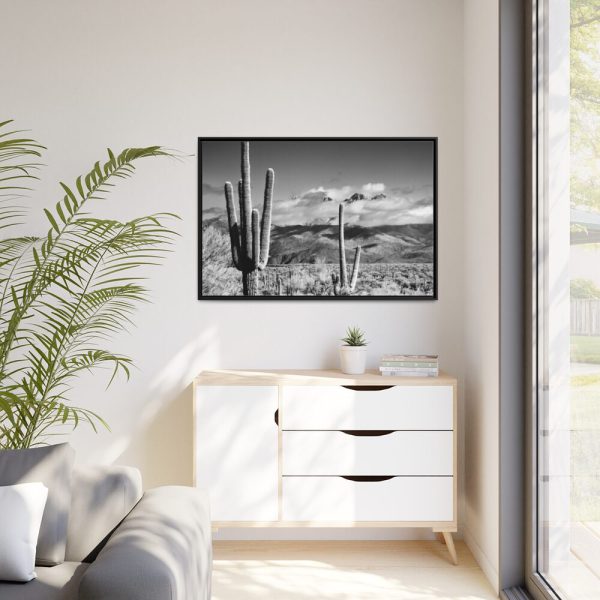 88289-878.jpg Black and White Cactus in Desert Framed Canvas