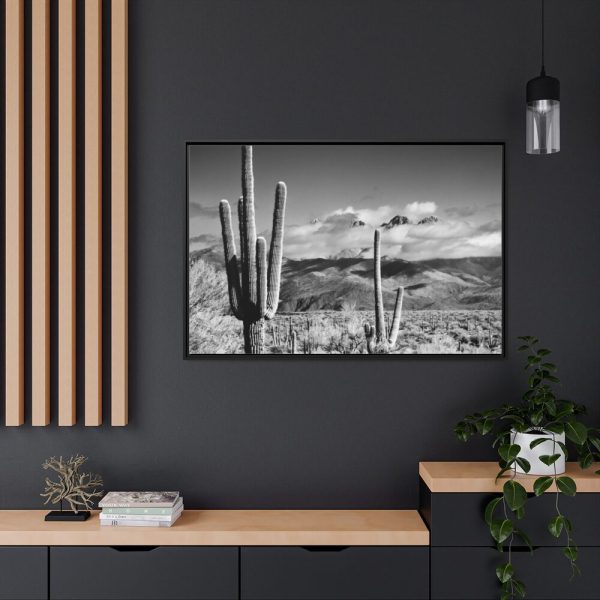 88289-879.jpg Black and White Cactus in Desert Framed Canvas