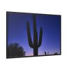 88289-885.jpg Saguaro Cactus Dominates in the Garden of the White Stallion Ranch Framed Canvas